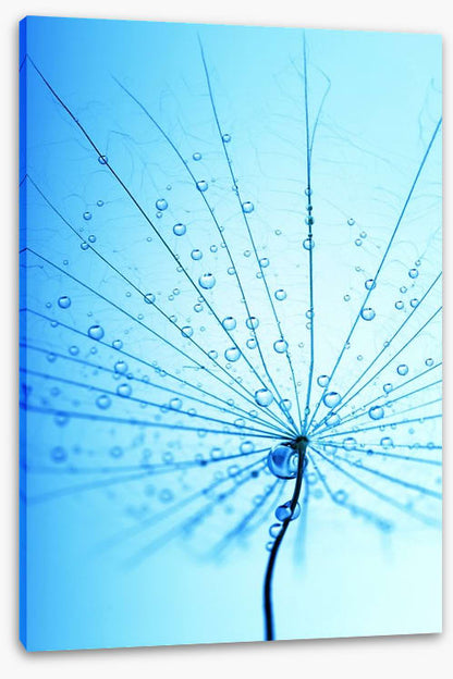 Droplets
