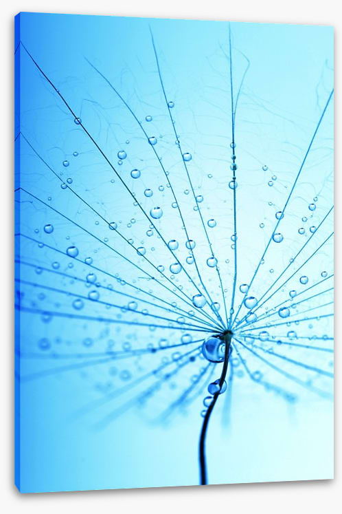 Droplets