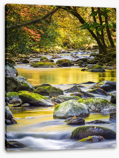 Forest flow