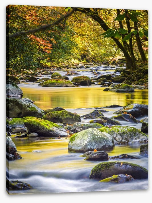 Forest flow