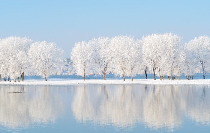 Winter reflections