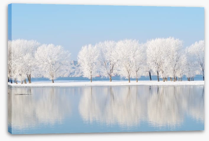 Winter reflections