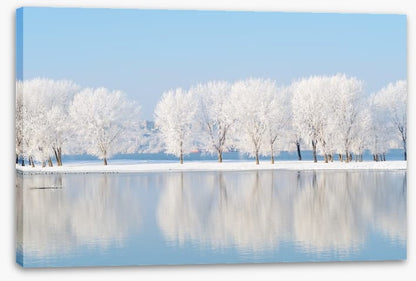 Winter reflections