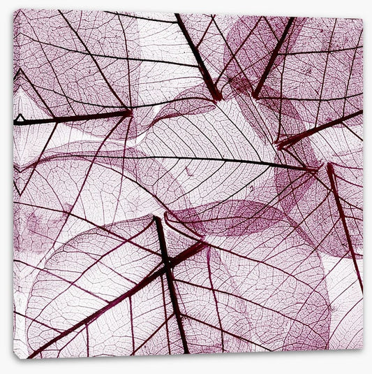 Fallen leaves