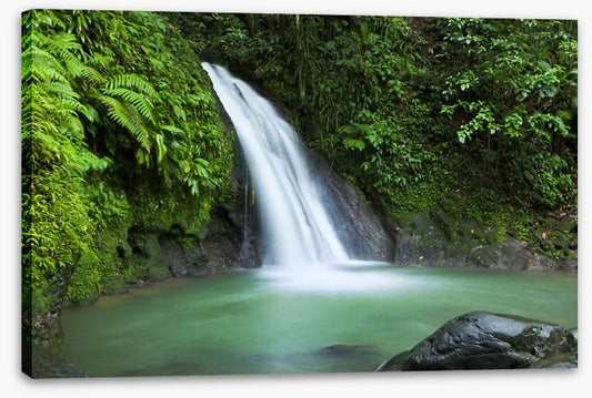 Rainforest cascades