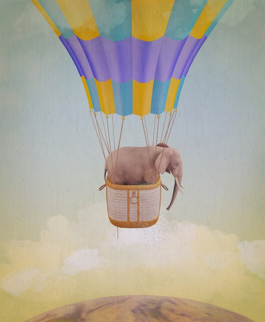 Elephant adrift