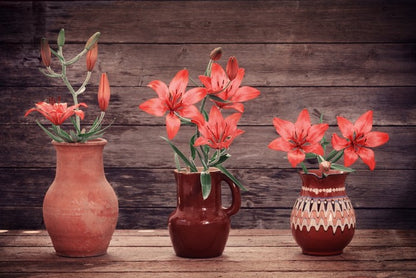 Terracotta lillies