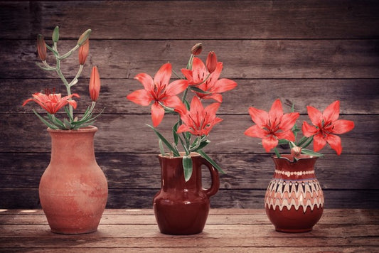 Terracotta lillies