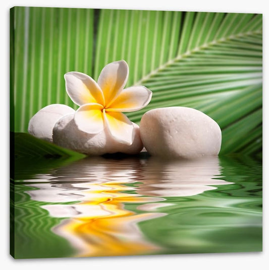 Frangipani and palm leaves