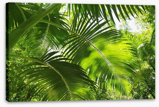 Jungle palms