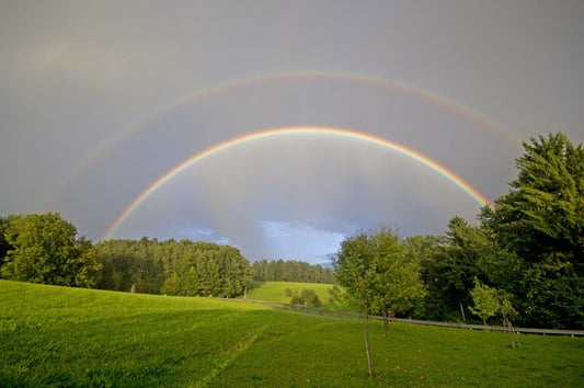 Rainbows