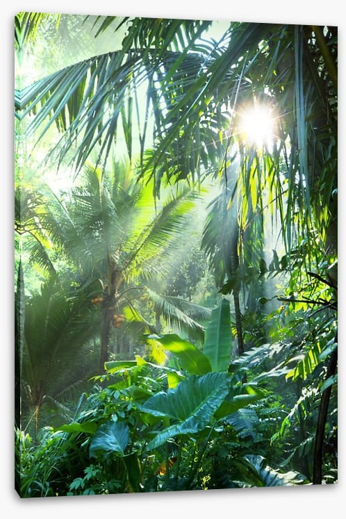 Deep in the jungle