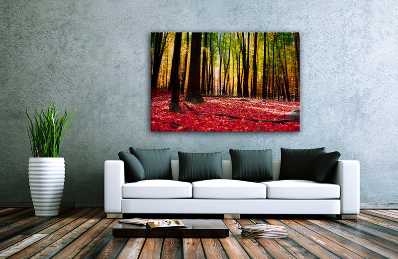 Autumn forest with golden light