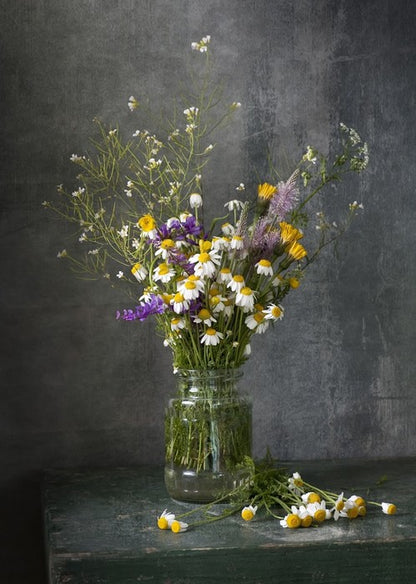 Delicate daisies