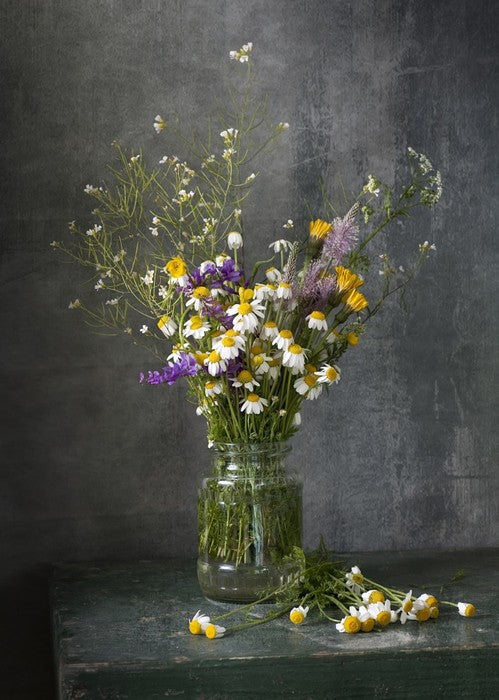 Delicate daisies