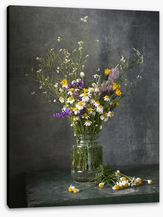 Delicate daisies