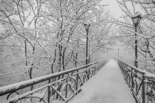 Blizzard on the bridge