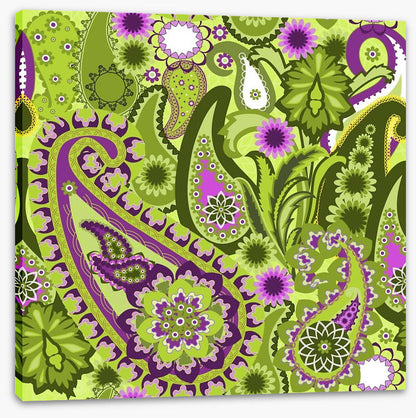 Paisley