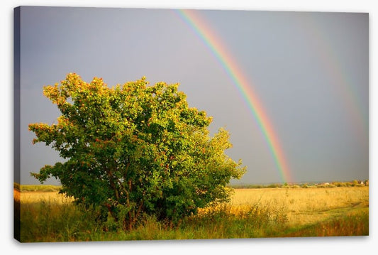 Rainbows