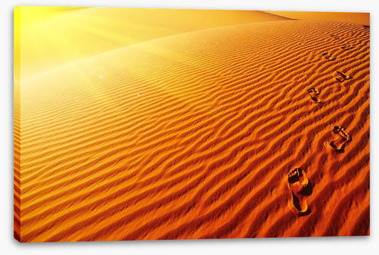 Desert