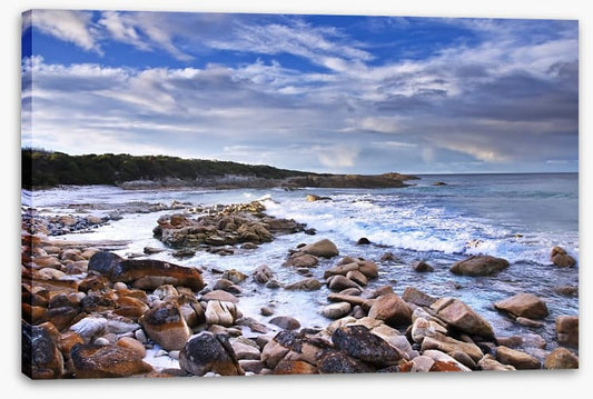 Rugged Tasmanian coast