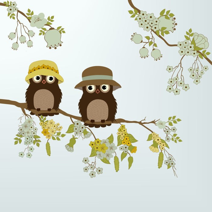 Little old owls