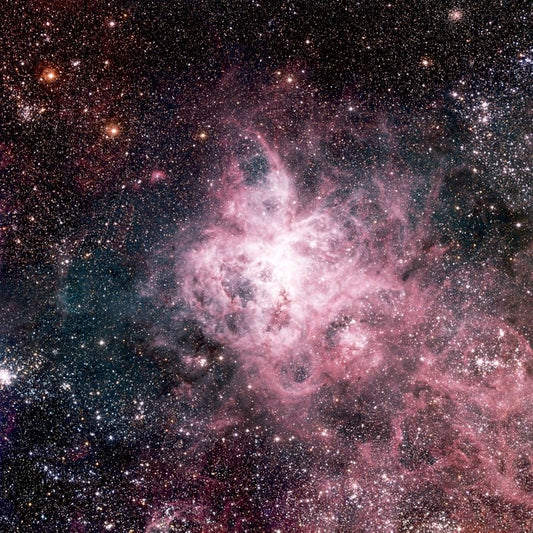 The tarantula nebula