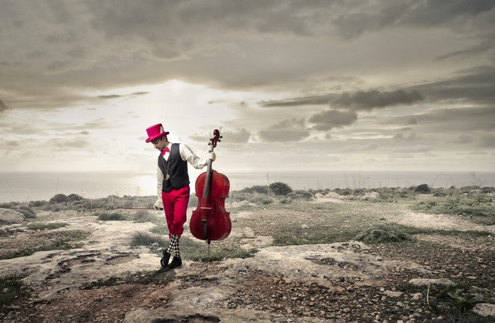 The red cellist