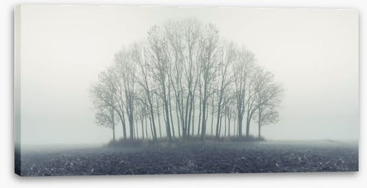 Copse through the mist