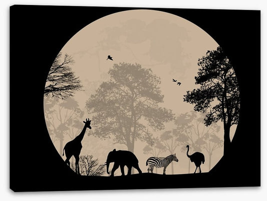 Moonlight safari