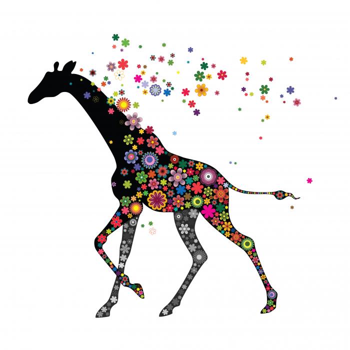 Anything goes giraffe