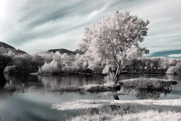 Winter river hues
