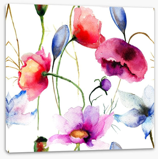 Wild flowers springtime