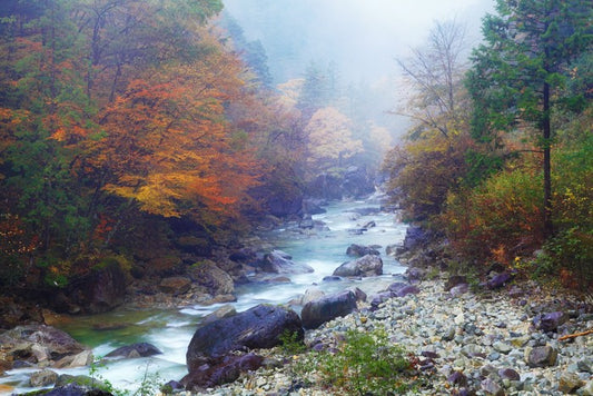 Rivers