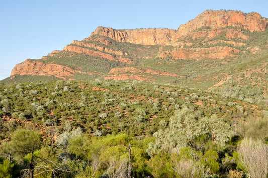 Flinders Ranges, South Australia