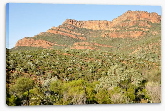 Flinders Ranges, South Australia