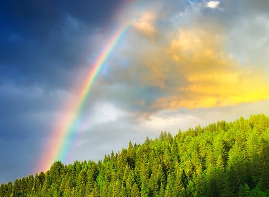 Rainbows