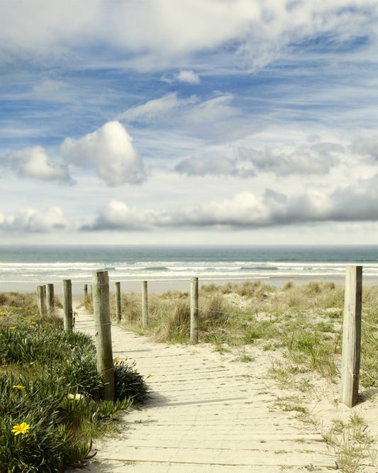 Path to the ocean