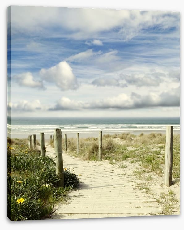 Path to the ocean