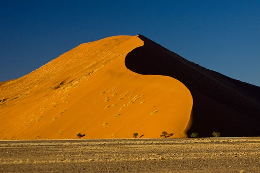 Desert