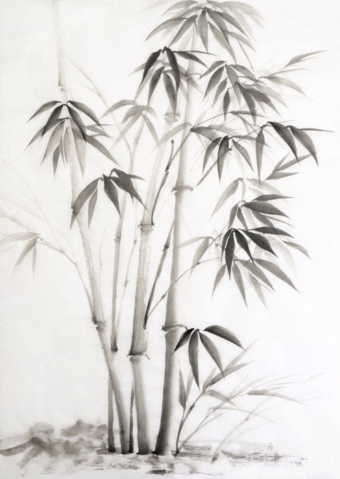 Bamboo watercolour