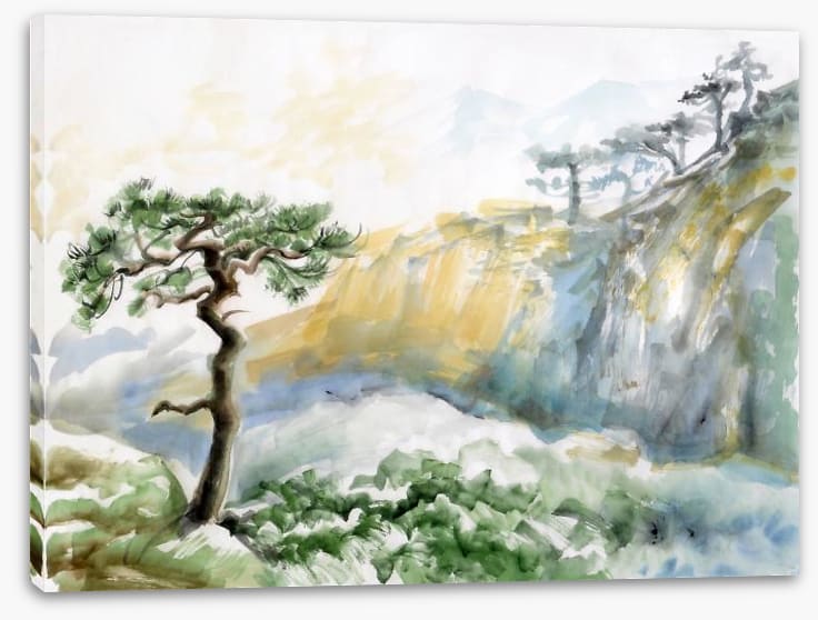 Rocks and pine tree
