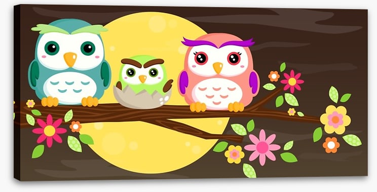 Owls