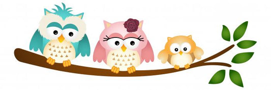 Little owl family