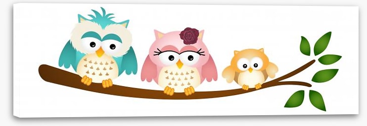 Little owl family