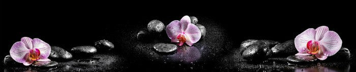 Orchids and stones panoramic