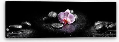 Orchids and stones panoramic