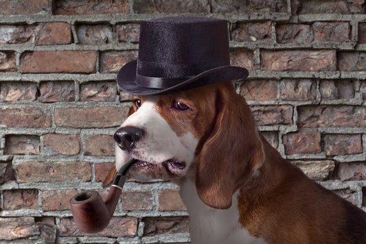The London detective