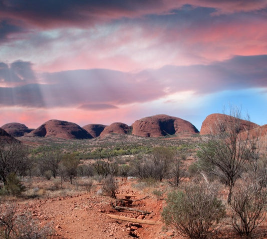 Outback