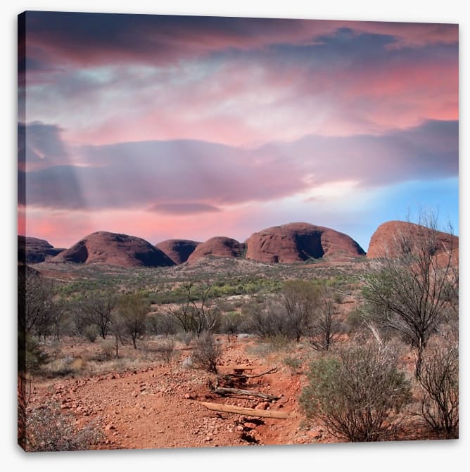 Outback